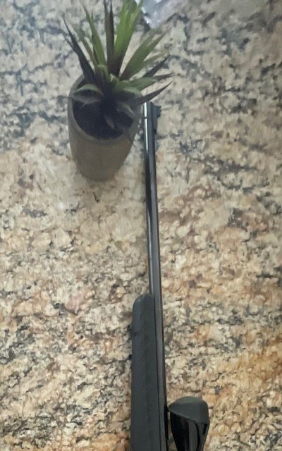 RUGER AMERICAN Rifle .17 HMR - Image 5 of 10