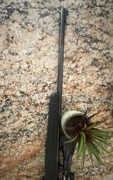 RUGER AMERICAN Rifle .17 HMR - Image 8 of 10