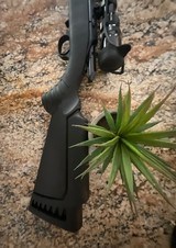 RUGER AMERICAN Rifle .17 HMR - Image 6 of 10
