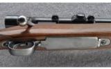 Winchester Model 70 Pre-64, .30 GOV'T 06 - 4 of 9