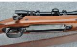 Winchester Model 70 Sporter, .264 WIN MAG - 4 of 9