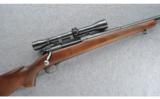 Winchester Model 70 Pre-64, .30 GOV'T.'06 - 1 of 9