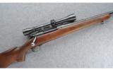 Winchester Model 70 Pre-64, .30 GOV'T'06 - 1 of 9