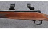 Winchester Model 70 Classic Sporter, .300 WBY MAG - 7 of 9