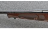 Winchester Model 70 Classic FWT, .243 WSSM - 6 of 9