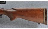 Winchester Model 70 Pre-64, .270 WIN - 8 of 9