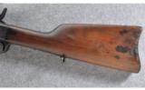 Remington Modelo Argentino 1879 E.N., .43 SPANISH - 8 of 9