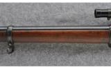 Remington Modelo Argentino 1879 E.N., .43 SPANISH - 6 of 9