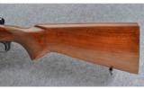 Winchester Model 70 Pre-64, .30-06 SPRG - 8 of 9