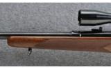 Winchester Model 70 Pre-64, .30-06 SPRG - 6 of 9