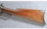 Marlin 1893, .38-55 - 9 of 9