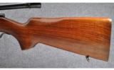 Winchester Model 75, .22 LR - 8 of 9