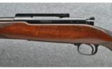 Winchester Model 70 Pre-64, .220 SWIFT - 7 of 9