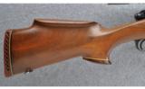 Winchester Model 70 Bull Gun Pre-64, .30-06 SPRG - 2 of 9