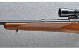 Winchester Model 70 Pre-War, .264 WIN MAG BBL - 6 of 9