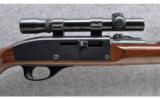 Remington Nylon-66, .22LR - 3 of 9