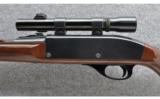 Remington Nylon-66, .22LR - 7 of 9