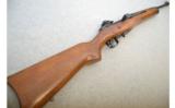 Ruger Model Mini-14 .223 Remington 16