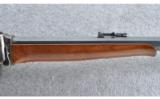 Pedersoli ~ 1874 Sharps Silhouette ~ .45-2.4