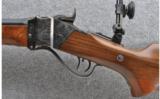 Pedersoli ~ 1874 Sharps Silhouette ~ .45-2.4