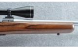 Winchester ~ Model 70 SA ~ .22-250 Rem - 5 of 9