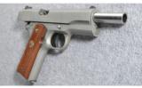 Colt ~ Government Model Matte Stainless ~ .45 ACP - 3 of 4