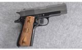 Springfield Armory ~ Champion ~ .45 ACP - 1 of 5