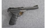 Browning ~ Buckmark ~ .22 LR - 2 of 2