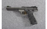 Browning ~ Buckmark ~ .22 LR - 1 of 2
