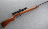 Ruger ~ 10/22 ~ .22 LR - 1 of 10