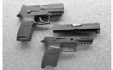 Sig Sauer ~ P250 ~ .380 ACP & 9MM - 1 of 2