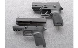 Sig Sauer ~ P250 ~ .380 ACP & 9MM - 2 of 2