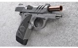 Kimber ~ Micro 9 ESV (Gray) ~ 9 mm - 3 of 3