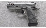 Kimber ~ Micro 9 ESV (Gray) ~ 9 mm - 2 of 3