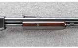 Winchester ~ Model 1906 ~ .22 S. L. or L.R. - 5 of 10