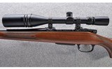 CZ ~ 550 American ~ .243 Win - 8 of 10
