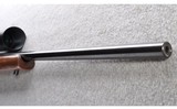 CZ ~ 550 American ~ .243 Win - 6 of 10