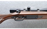 CZ ~ 550 American ~ .243 Win - 4 of 10
