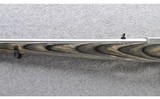 Sturm Ruger & Co. ~ 10/22 International stainless ~ .22 LR - 7 of 10