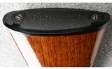 Browning ~ BL-22 ~ .22 S. L. & LR. - 10 of 10
