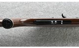 Remington ~ Nylon 66 ~ .22 LR - 4 of 10