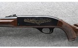 Remington ~ Nylon 66 Bicentennial Model ~ .22 LR - 8 of 10