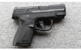 Smith & Wesson ~ M&P 9 Shield Plus ~ 9mm