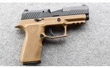 SIG Sauer ~ P320 ~ 9mm