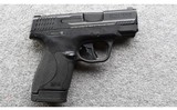 Smith & Wesson ~ M&P9 Shield Plus ~ 9mm