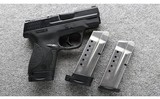 Smith & Wesson ~ M&P9 Shield ~ 9mm