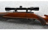 Ruger ~ M77 ~ .243 Winchester - 8 of 10