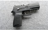 SIG Sauer ~ 320 ~ 9mm - 1 of 3