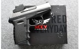 SCCY ~ CPX-2 ~ 9mm - 1 of 3