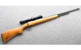 Remington ~ 582 ~ .22 S, L,LR